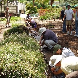 Landscape crew installs sprinklers in garden