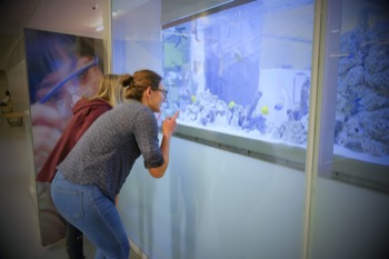 students observing OCC Public Aquarium tank